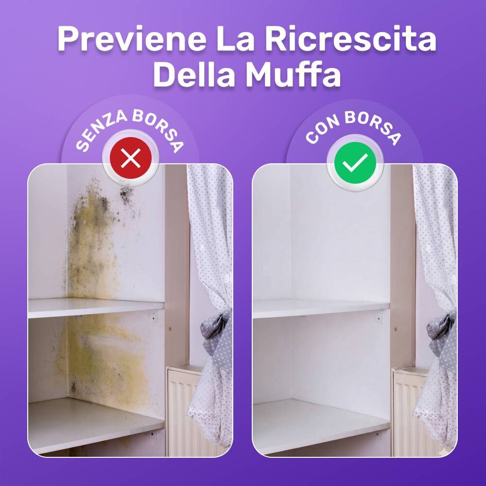 FizzClean image