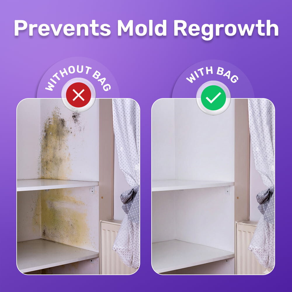 FizzClean image